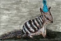 Numbat Birthday